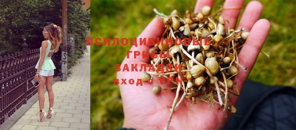 гидропоника Балабаново