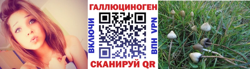 Галлюциногенные грибы ЛСД Кумертау